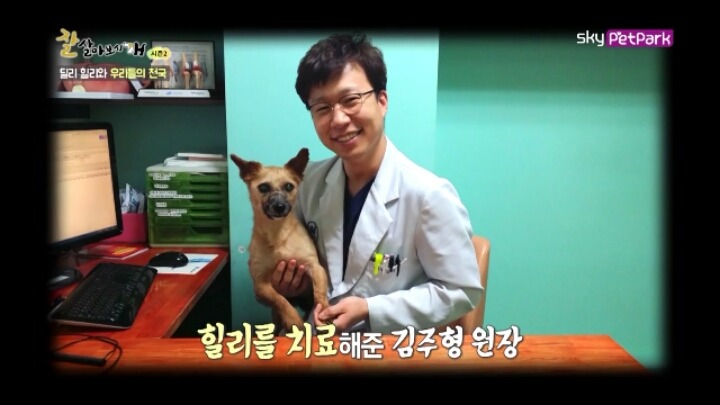 사람에 대한 트라우마가 있는 강아지 딜리 | 인스티즈