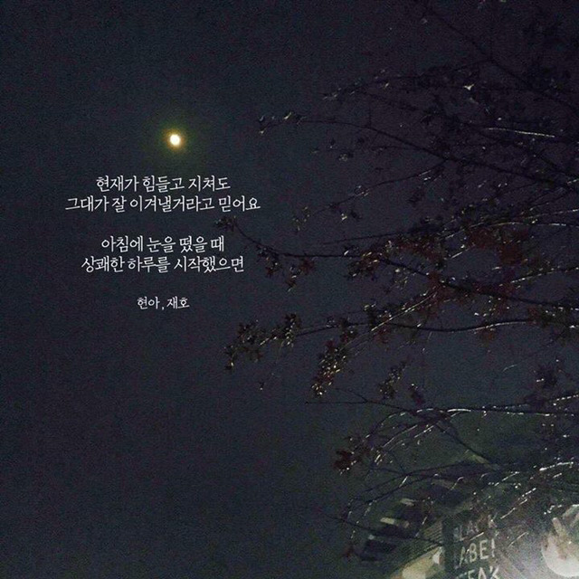 다봉 이미지