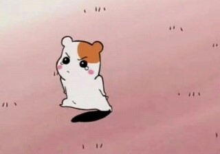예예 이미지