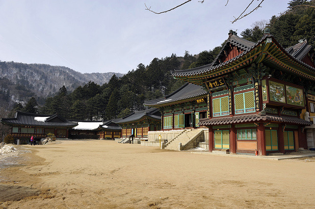 대한불교 진여원 이미지