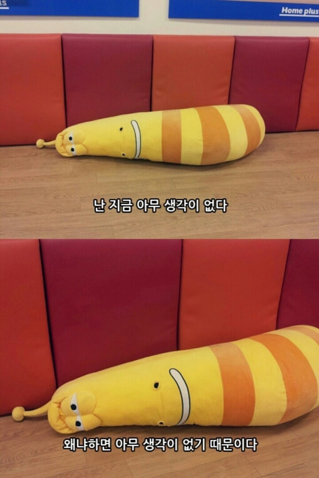 쑬 이미지