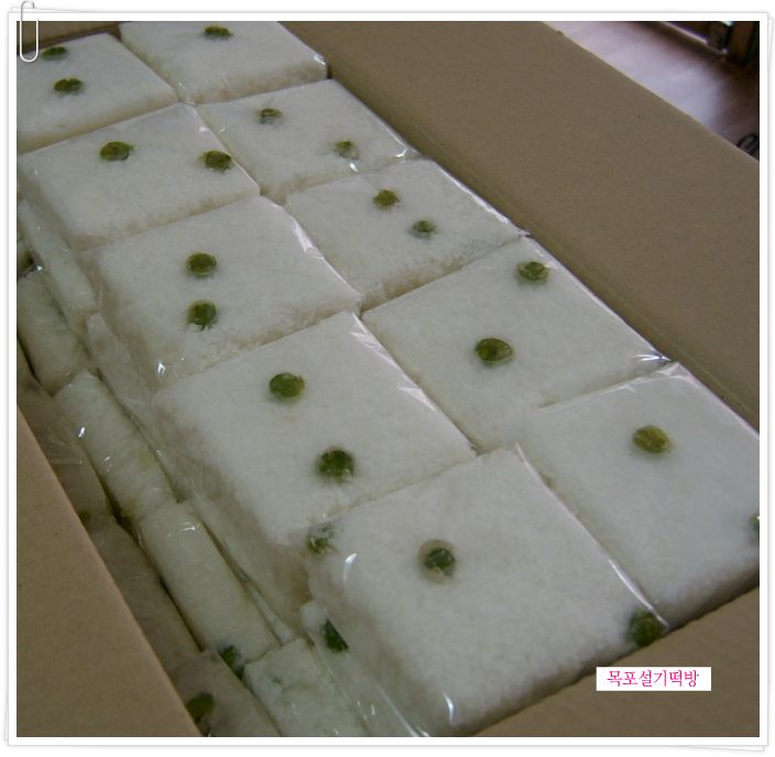 목포중앙초등학교 이미지
