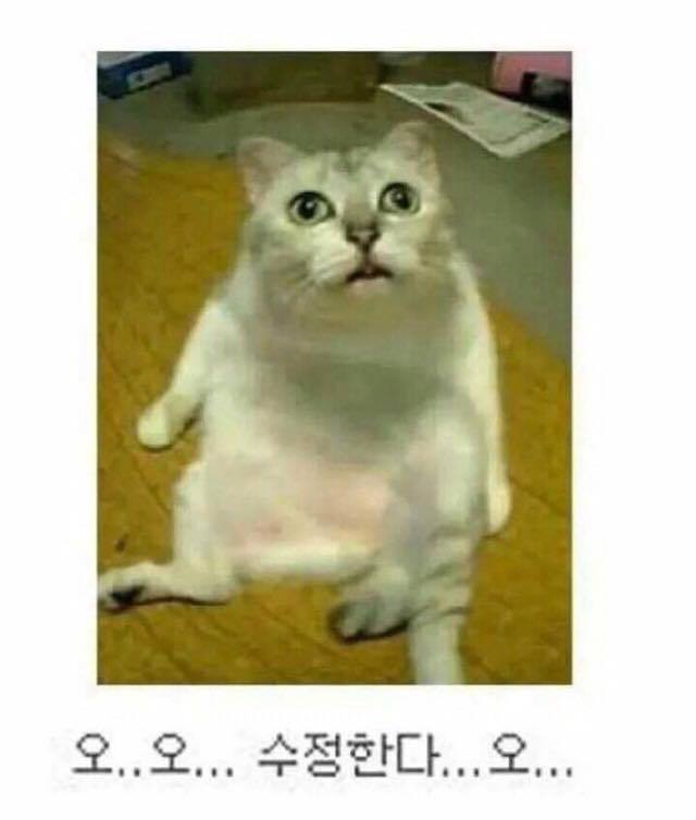 흔한 공대 수업 | 인스티즈