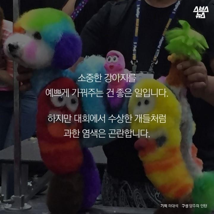 강아지가 도화지야? | 인스티즈