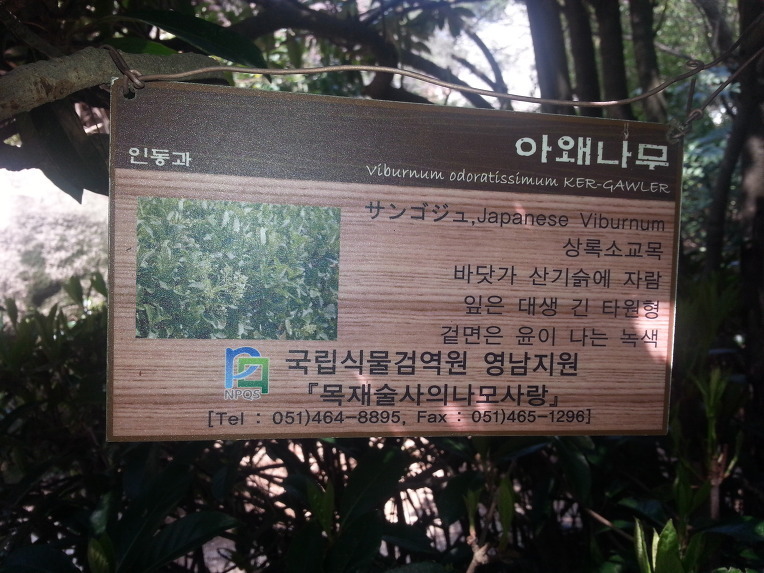 부산식물원 이미지