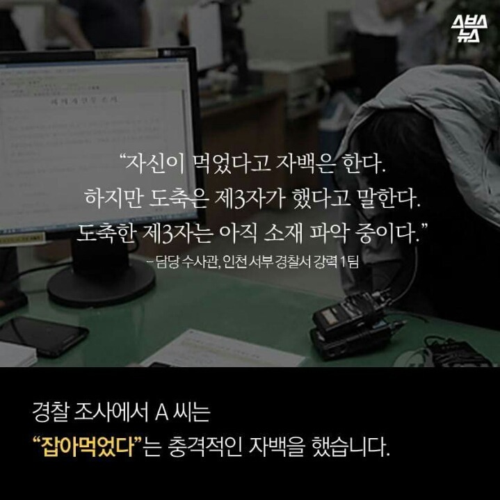 제 강아지가 잡아먹혔습니다 | 인스티즈