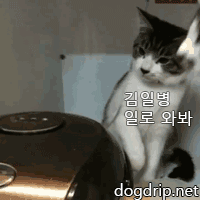 청소 가 왜 이 모양이야.... | 인스티즈