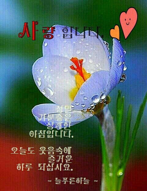 만남 이미지