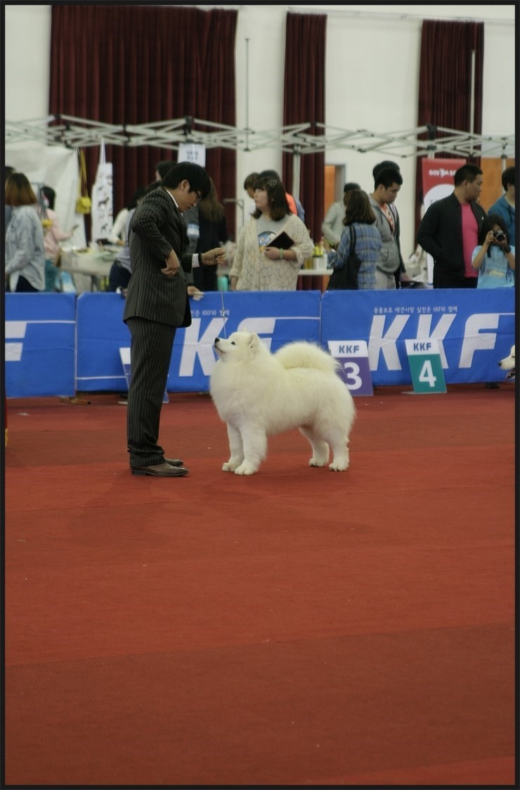 바하 이미지