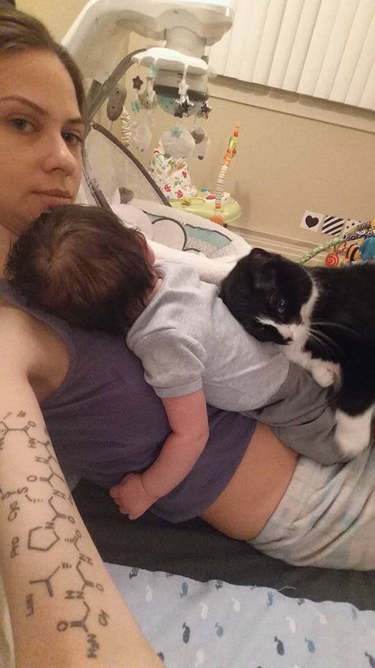 아기가 태어나기 전부터 사랑에 빠진 고양이 | 인스티즈