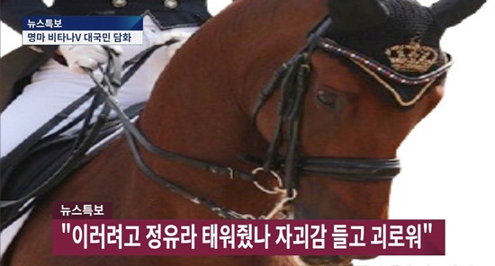 정유라 말 인터뷰 | 인스티즈