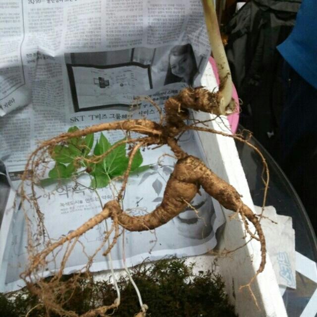 부자노래연습장 이미지