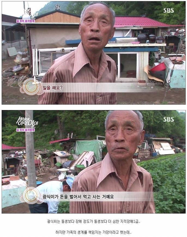 세상에 이런일이 - 길 위에 효자형제 (사이다형제) | 인스티즈