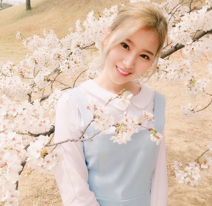 [트와이스] 트와이스 멤버별 치트키 짤,사진 모음 2탄 | 인스티즈