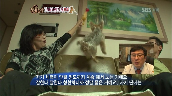또또 이미지