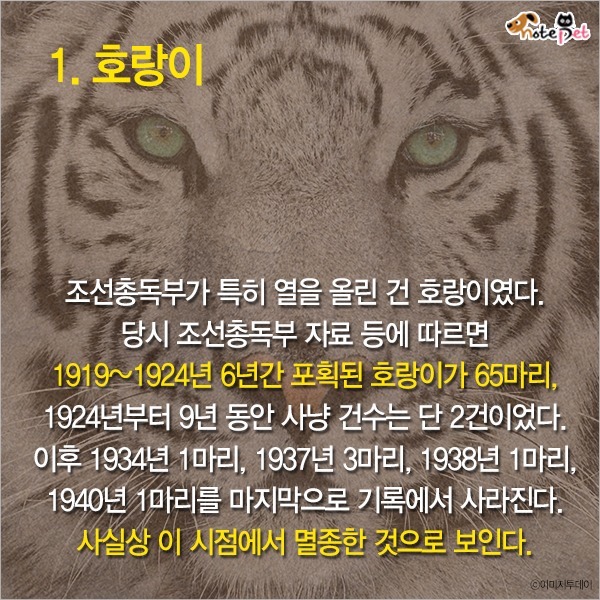  일제강점기 한반도에 사라진 동물들 | 인스티즈