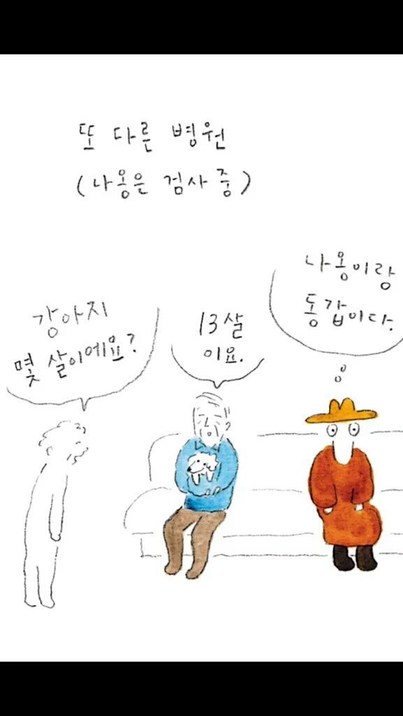나이 많은 강아지 키우는 사람 공감.jpg | 인스티즈
