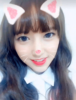 성소 닮은 고양이 | 인스티즈