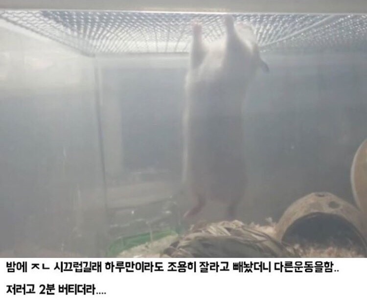 헬스중독 이미지