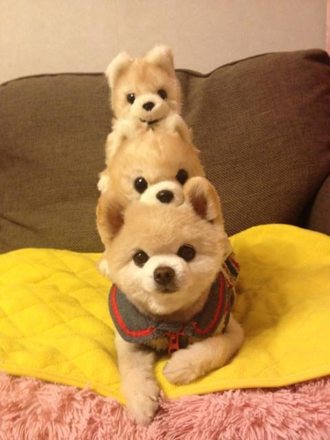 동글동글 이미지