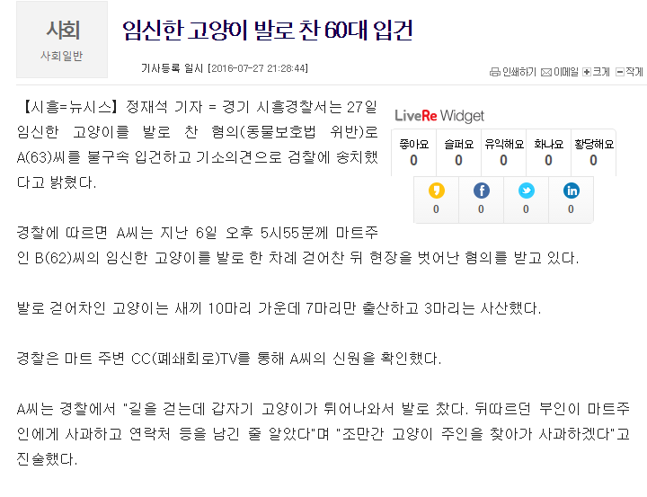 임신한 고양이 발로 찬 60대 입건 | 인스티즈
