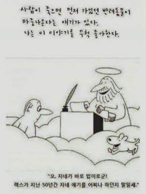 반려견 키우는 사람들이 보면 좋아할것 같은 사진 | 인스티즈