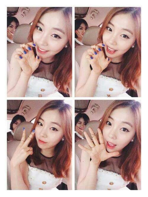 슐리 이미지