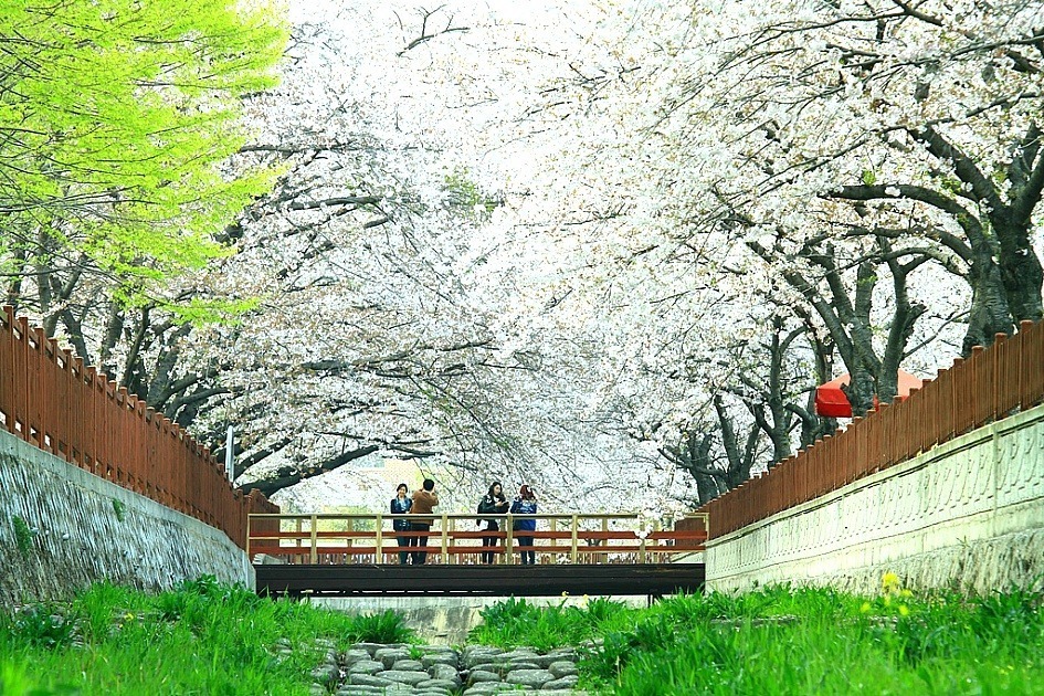 살기좋은도시로 자주 언급되는곳 | 인스티즈