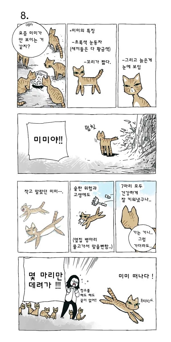 고양이 여덟마리와 사는만화 | 인스티즈