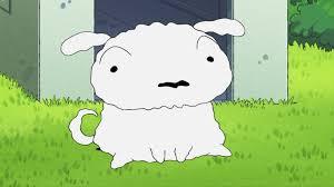 흰둥이 사람으로 변했을 때 비주얼.jpg | 인스티즈