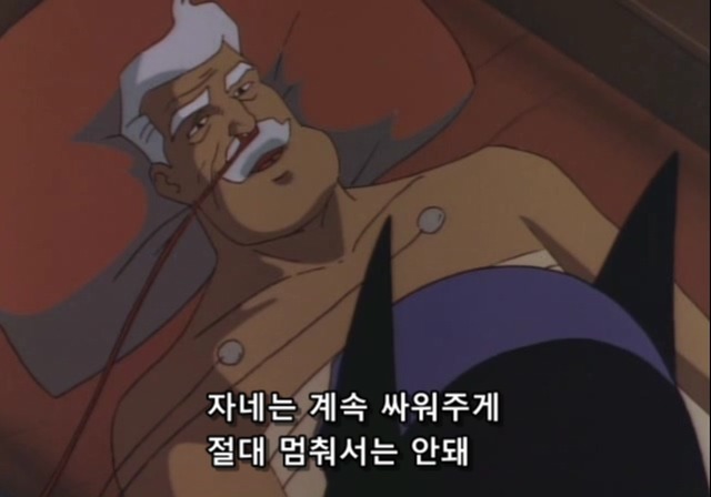  범죄가 끊이지 않는 도시에 꼭 필요한 존재 | 인스티즈