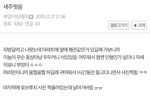 길가다 부엉이 주움 | 인스티즈