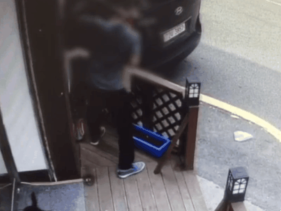 분노주의)웃는 얼굴로 새끼 고양이 내던지고 도망간 미친넘 | 인스티즈