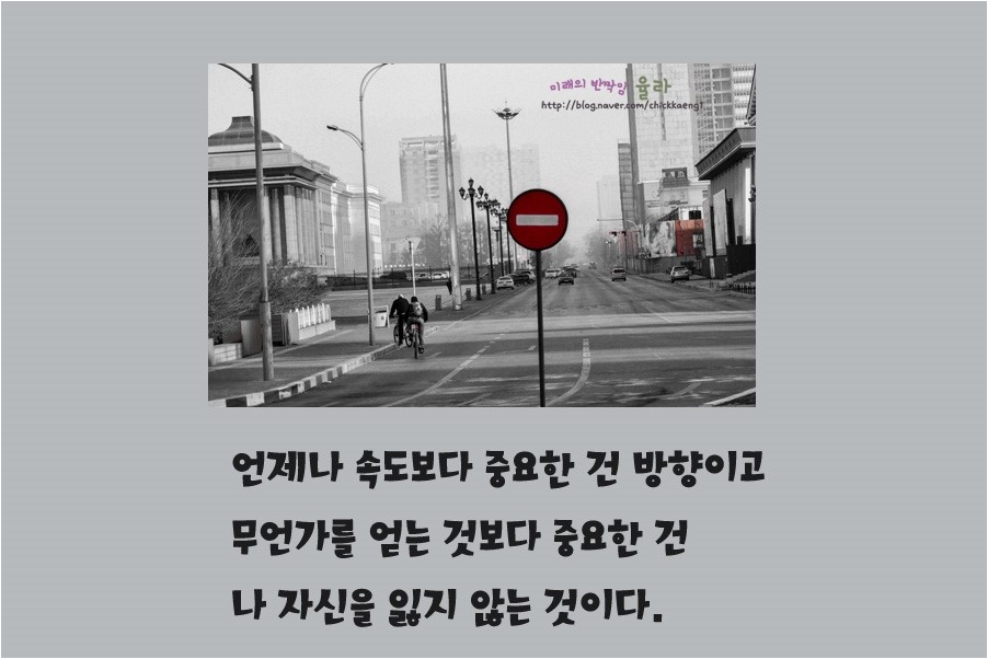 카피아 이미지