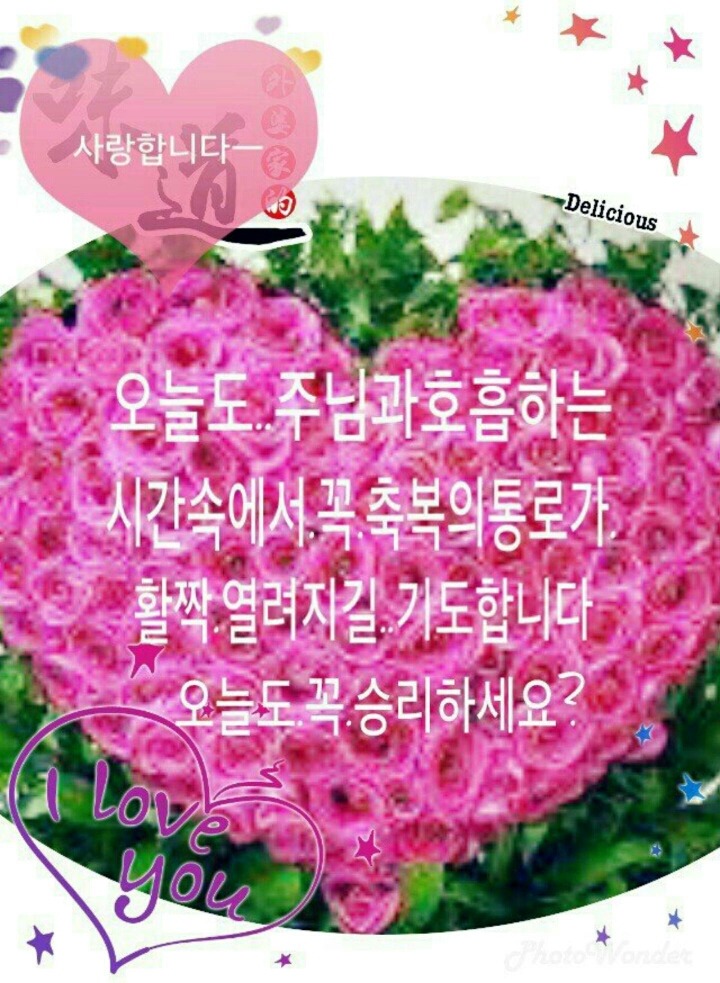 축복의통로 이미지