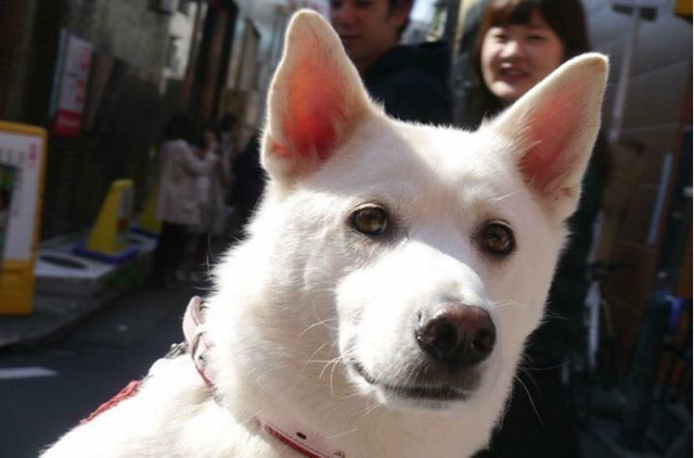 길에서 전 여친을 만났을 때 | 인스티즈