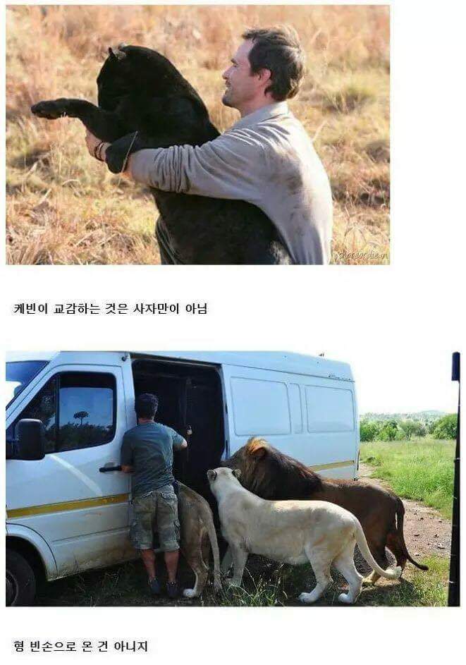 맨몸으로 맹수구역에 들어간 남자 | 인스티즈