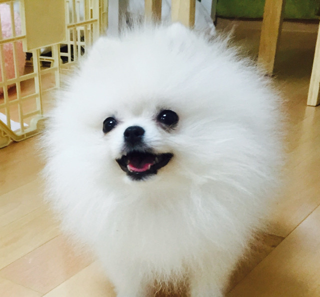 안녕하세요 이미지