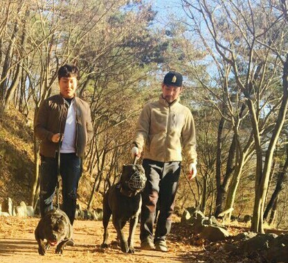 산책 이미지