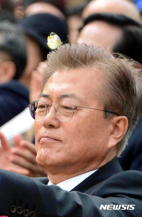 신 혹은 사후세계를 믿어볼까 싶은 사진.... | 인스티즈