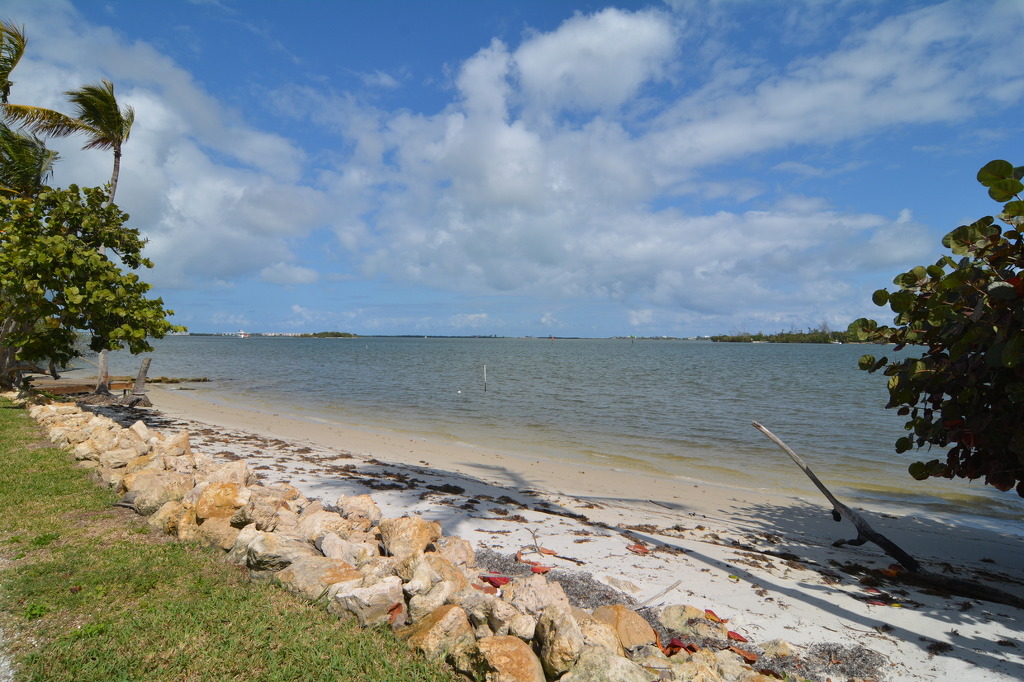 플로리다 분위기.jpg | 인스티즈