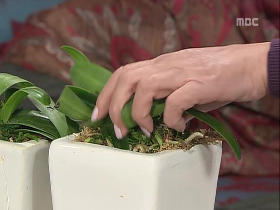 [거침없이하이킥] 유미 가족의 비밀 -7- | 인스티즈