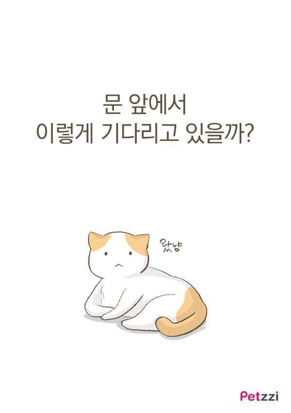 고양이가 화장실 앞에서 기다리고있는 이유(만화).jpg | 인스티즈