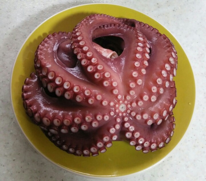 고운당 이미지