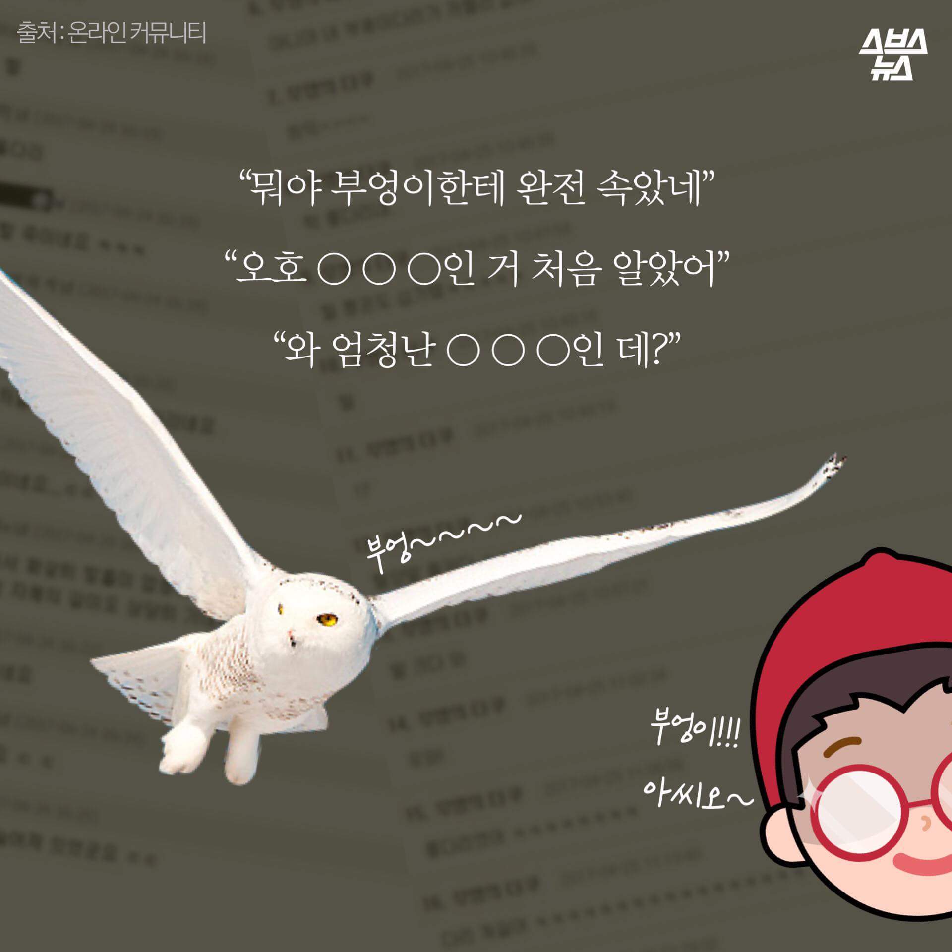 숏하지 않다고 말해부엉 | 인스티즈