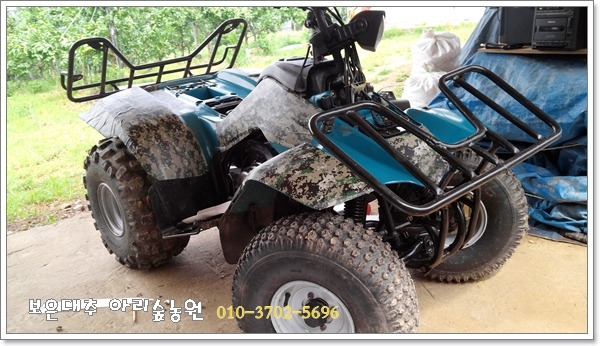 보은대추아리숲농원 이미지