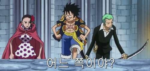  모두 같은 회사에서 만든 애니메이션.GIF | 인스티즈