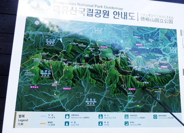 봉황봉 이미지