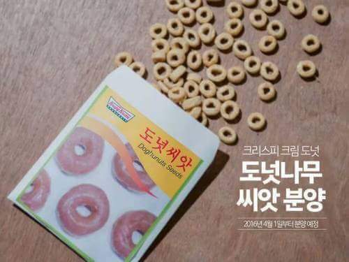 지방사람들은 모르는것.jpg | 인스티즈