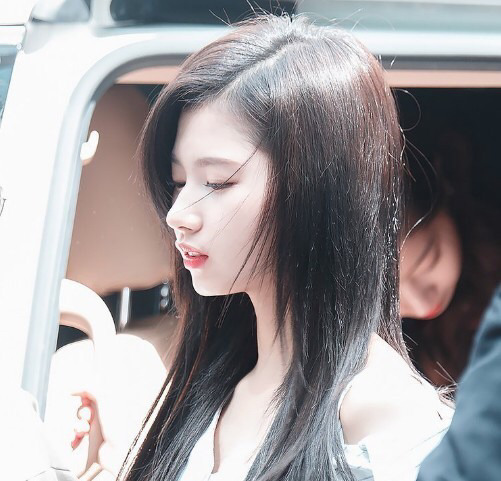 모모와 사나 | 인스티즈